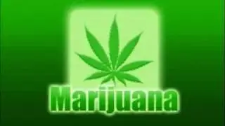 THE WORLDS BEST WEED SONG-HIGHER