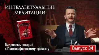 Интеллектуальные медитации. Видеокомментарий к Психософическому трактату: выпуск 34