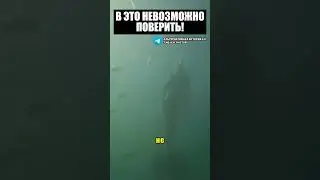 В это не возможно поверить!