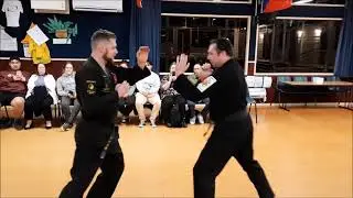 Ridge hand by Zinjutsu Kung fu