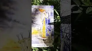 Что вам нужно услышать прямо сейчас🤔 Восьмёрка мечей😑🙄