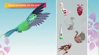 Compendio: Las Aves del IPN 🦆