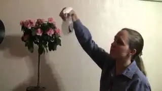 Видео, изменившее жизнь