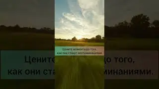 #shorts ##youtubechannel #youtuber  #природа #красота #лайк #цитаты #youtube #video #class #шортс
