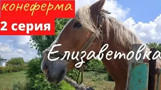 Horse farm. Elizavetovka. Grandma's yard. Episode 2.
