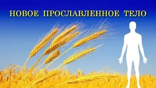 Новое прославленное тело!
