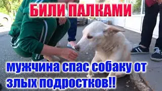 СПАСЕНИЕ СОБАКИ ОТ ЗЛОБНЫХ ПОДРОСТКОВ!!!