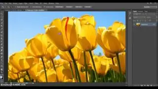 Adobe Photoshop CS6 Ders 26  Zoom Tool - Hand Tool - Büyüteç ve Sayfa Kaydırma Özellikleri