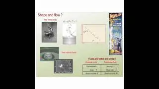 The shape of Nature and the nature of Shape: part 5 of 7