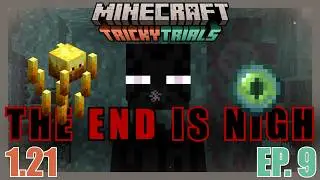 The Ender Dragon Stands NO CHANCE Against Me!