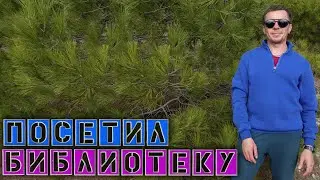 В Симеизе сажаем Смородину / День открытых дверей в музеях / Ужин в Библиотеке @игнатсолошенко 499