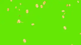 Free Green Screen Realistic Gold Coins Falling Down