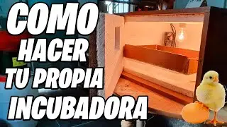 How to Make a Homemade Incubator (100% Reliable) | Everything You Need to Know | Alber's Garden