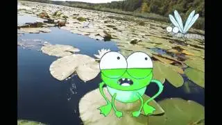 Мультфильм 