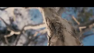 unreal engine 5 realistic graphics