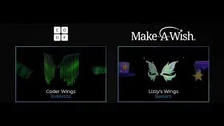 Buying all the Make a Wish and CODE items. (Roblox)