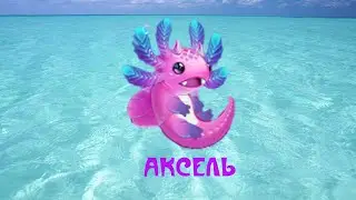 АКСЕЛЬ НОВЫЙ ПИТОМЕЦ - Хроники Хаоса