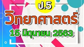 DLTV ป.5 วิทยาศาสตร์ วันที่ 15 มิ.ย. 63 - ความสัมพันธ์ระหว่างสิ่งมีชีวิตกับสิ่งไม่มีชีวิต