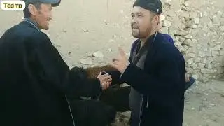 дехконобод мол бозор белибойли мол бозори нархлари