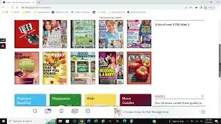 Exploring the Libby App
