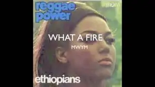 The Ethiopians.