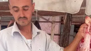 جوله فى مدبح السيده زينب واحلى لحمه راس وكرشه وكوارع من تجبهم