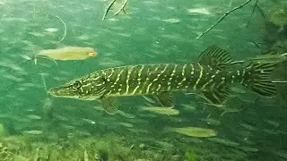 Майский карьер