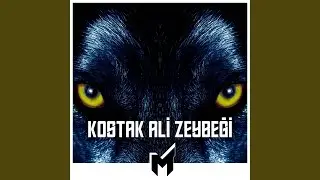 Kostak Ali Zeybeği