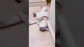 Лучше сделать что просит.