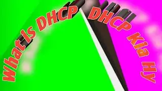 what is DHCP in Urdu || Dynamic Host Configuration Protocol || Networking || DHCP Kia hy