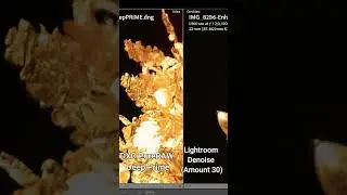 Lightroom Denoise AI vs DXO PURERAW Deep Prime: Which One is Better? AI noise reduction