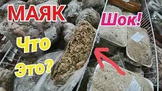 Магазин Маяк аналог Светофора! Обзор. Товары по Супер Ценам. Ростов на Дону.