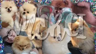 1000 fois MERCI !