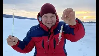 Первый лед 2021 2022