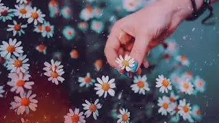 Hirai Zerdüş - Ölüyoruz Bir Köşede