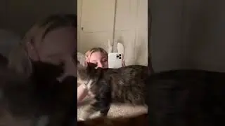 Daily Tiktok 5 #Shorts