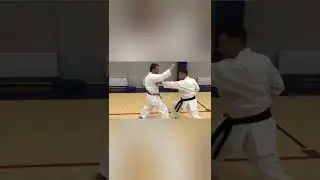 👍 Принцип маятника,учимся применять в кумитэ