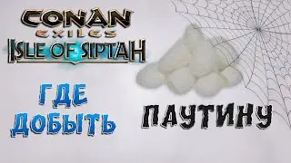 Conan Exiles: Isle of Siptah - Где добыть паутину.