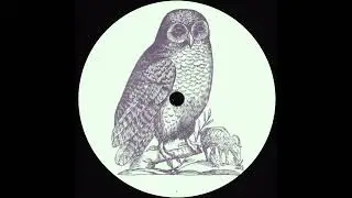 Ricardo Villalobos - Owls Talk
