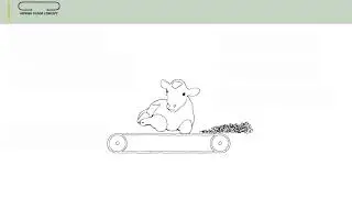 Explainer video calf  RUSSIAN