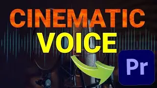 How To Make Your VOICE Sound CINEMATIC (Premiere Pro) | SL Guide