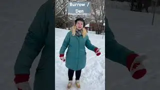 What is Groundhog Day?