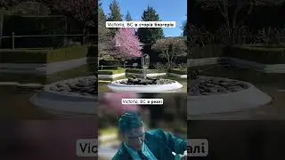 Так і є 😂 #канада #victoriabc