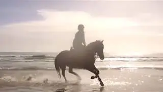 Лошади в воде видео 2018