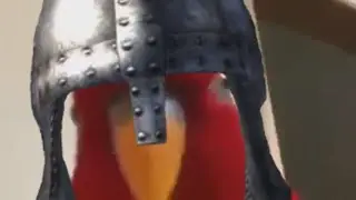 Can't Stop the Red Bird