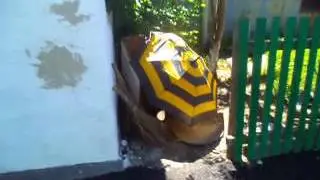 MOV01255