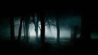 HANGECI - Into the Darkness (Official Audio)