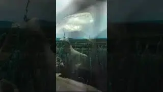 МОГИЛА КИПЧАКСКОГО ХАНА, ДЕРЕВЯННЫЙ СУНДУК И  ЛУКОМОРЬЕ