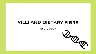IB Biology: Villi & Dietary Fibre
