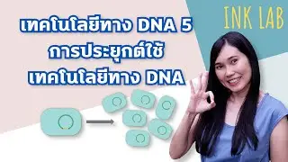 🧬เทคโนโลยีทาง DNA 5 : การประยุกต์ใข้เทคโนโลยีทาง DNA [Biology#39]